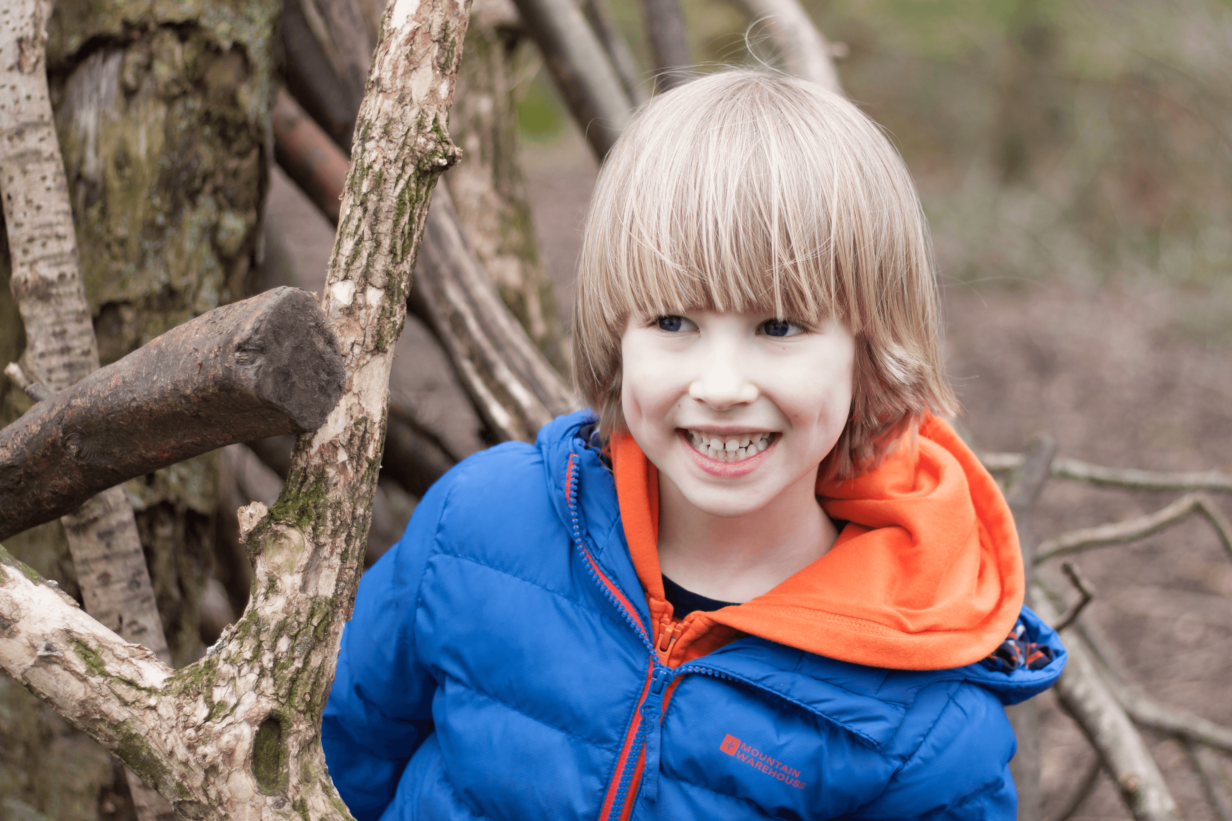 Toby exploring in the woods