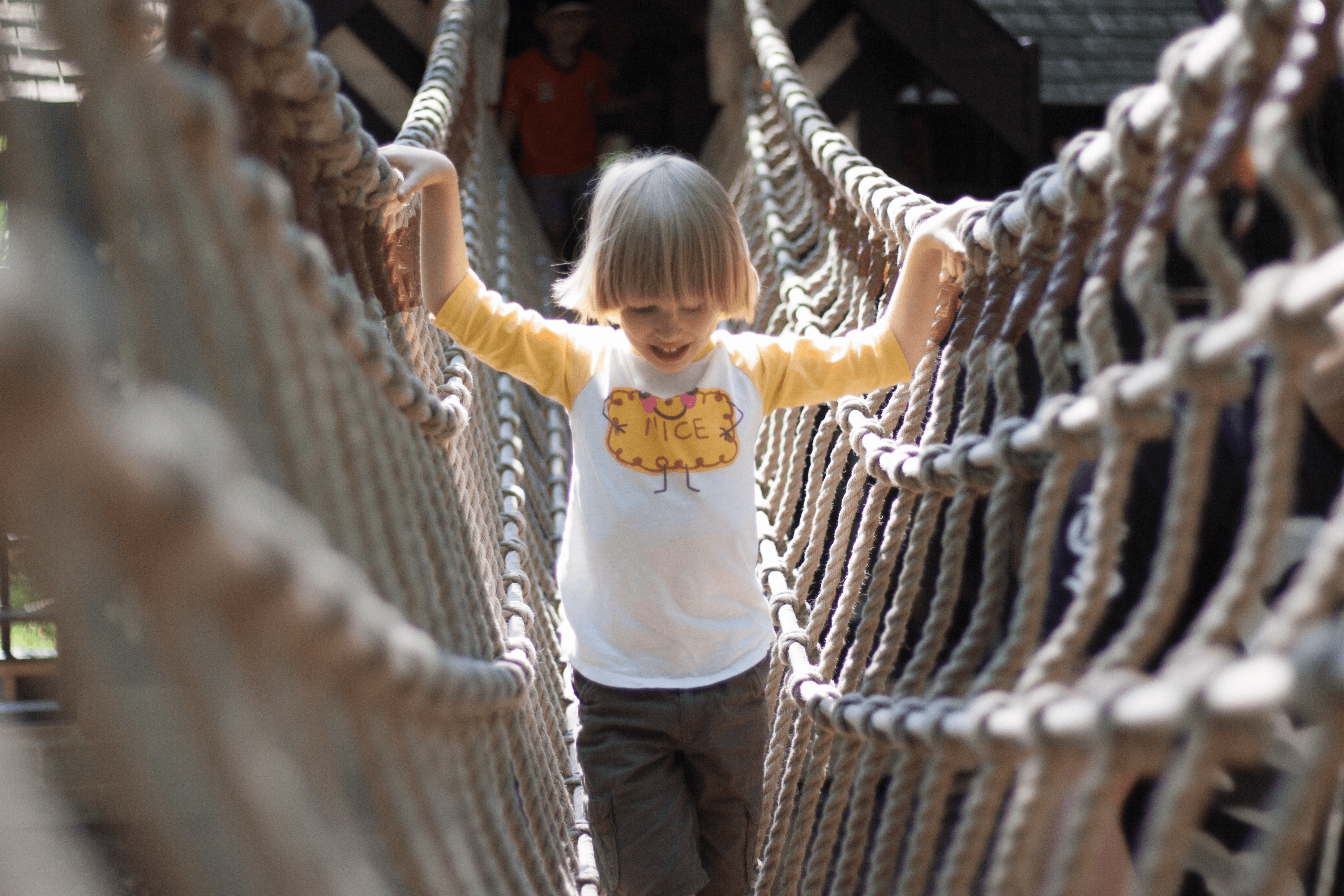Toby crossing a rope bridge in the play area at Salmesbury Hall