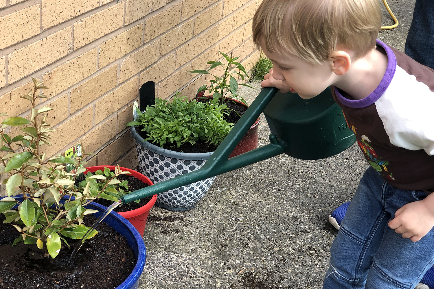 Gabe watering the plants that he planted with Daddy