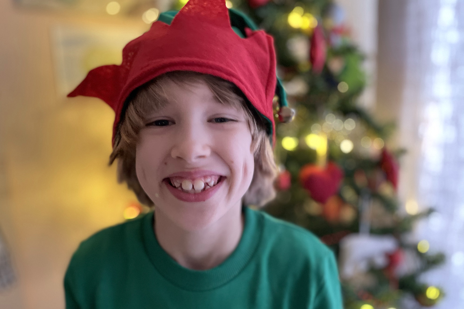 Toby wearing an elf hat in front of the Christmas tree