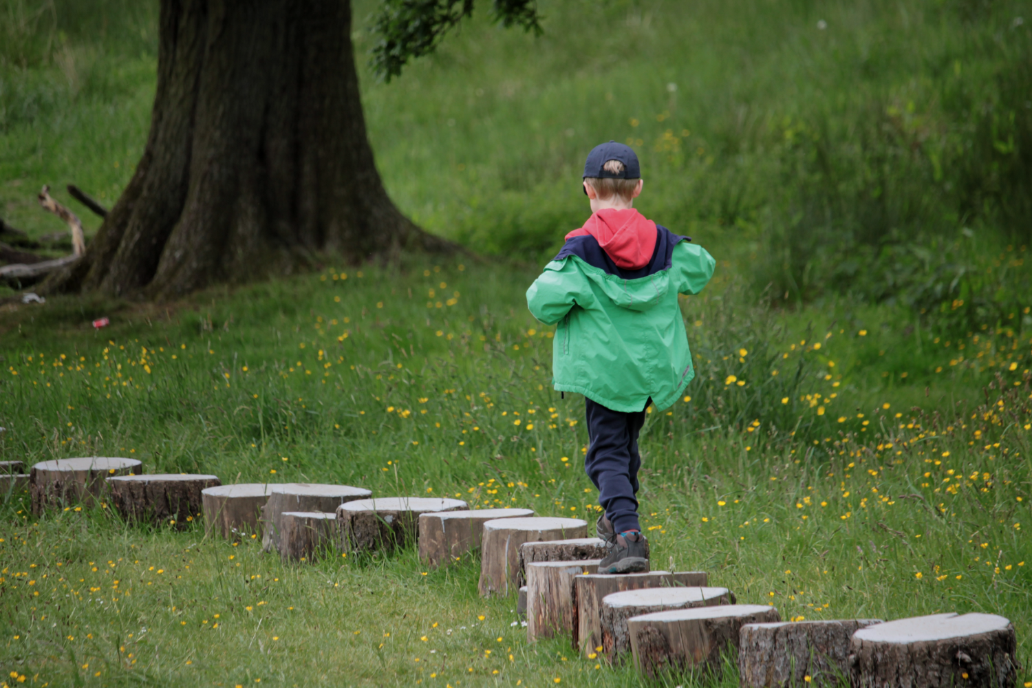 Gabe walking over some wooden stepping stones in the grass at Bolton Abbey